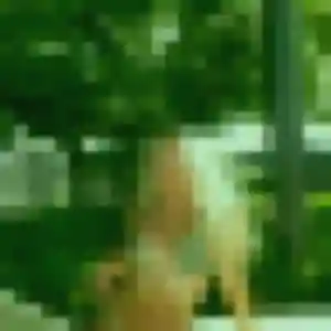 Profil de Josiane à Réparsac (49 ans) - rencontre cougar gratuit