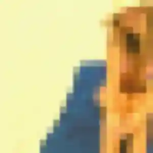 Photo sexy de Catherine, 35 ans à Rieupeyroux - rencontre coquine
