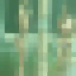 Photo de Therese à Rochefort-Samson (41 ans) - rencontre cougar gratuit