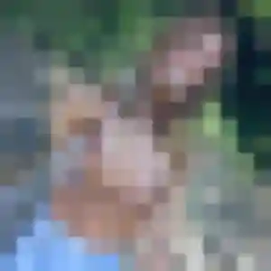 Profil de Pierrette à Romilly-sur-Seine (45 ans) - rencontre cougar sans inscription