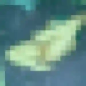 Stephanie (44 ans) à Rosult cherche un rencontre cougar aujourd'hui