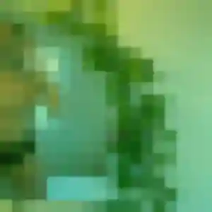 Profil de Magali à Roumare (42 ans) - rencontre cougar gratuit