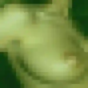 Anne-Claire, 40 ans, disponible à Rousset pour un rencontre cougar
