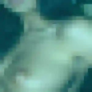 Anne-Claire (55 ans) à Roville-devant-Bayon cherche une rencontre ce soir
