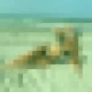 Monique, 42 ans, en ligne à Saint-Amé pour un rencontre cougar