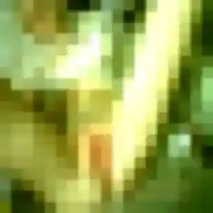 Photo exclusive de Christine, 42 ans à Saint-André-de-Roquelongue - rencontre coquine
