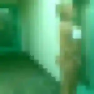 Photo sexy de Janine, 38 ans à Saint-Baudelle - rencontre sans lendemain