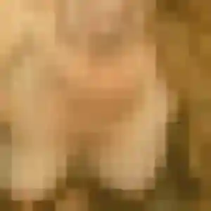Renee, femme de 50 ans cherche rencontre cougar à Saint-Bonnet-Tronçais