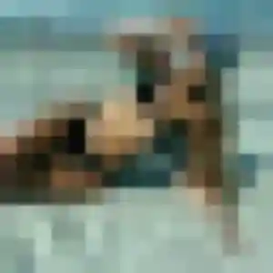 Photo de Monique à Saint-Christophe-sur-Guiers (39 ans) - rencontre cougar discret