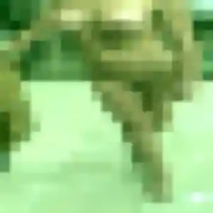 Francoise, 38 ans, dispo pour rencontre cougar à Saint-Clair-de-Halouze