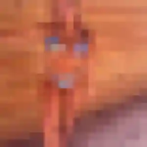 Photo exclusive de Lydia, 48 ans à Saint-Clément-sur-Valsonne - plan discret