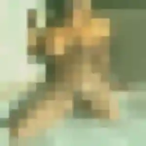 Ginette, 54 ans, cherche un rencontre cougar à Saint-Contest