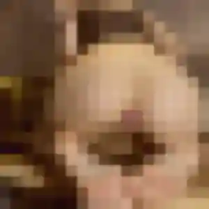 Catherine, 54 ans, disponible à Saint-Étienne-d'Orthe pour une rencontre coquine