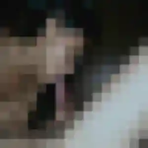 rencontre cougar à Saint-Firmin-des-Prés : profil de Yvette, 52 ans - inscription gratuite