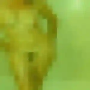 Photo de Marie-Therese à Saint-Genis-de-Saintonge (44 ans) - rencontre cougar anonyme