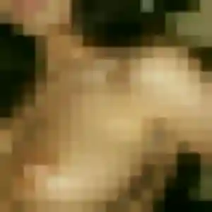 Photo de Anne-Claire à Saint-Hilaire-de-Brens (40 ans) - rencontre cougar sans inscription
