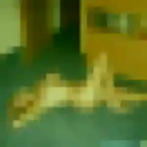 Photo perso de Stephanie, 50 ans à Saint-Hilaire-du-Rosier - rencontre coquine