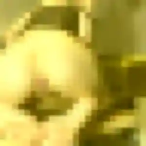 Photo privée de Catherine, 40 ans à Saint-Hilaire-les-Andrésis - rencontre coquine