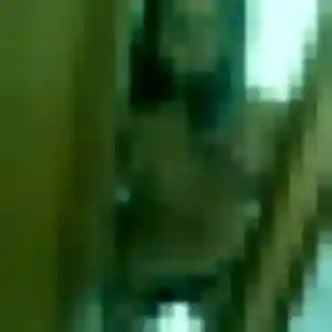 Découvre Christine, 44 ans à Saint-Jean-de-Tholome en privé
