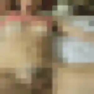 Martine, 52 ans, dispo pour rencontre cougar à Saint-Jean-du-Falga