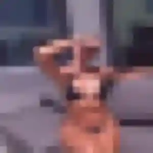 Pascale, 40 ans, disponible à Saint-Joseph pour un rencontre cougar