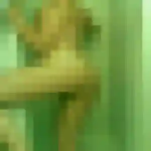 Photo de Regine à Saint-Léon-sur-l'Isle (36 ans) - rencontre cougar gratuit