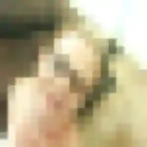Photo de Raymonde à Saint-Martin-de-Sanzay (44 ans) - rencontre cougar discret