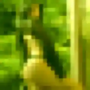 Stephanie, 46 ans, dispo pour rencontre cougar à Saint-Martin-du-Var