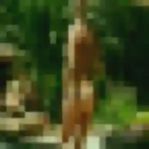Sexy Martine, 51 ans à Saint-Maurice-de-Beynost - voir sa photo
