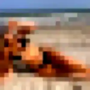 Photo exclusive de Monique, 47 ans à Saint-Maurice-de-Rémens - rencontre coquine
