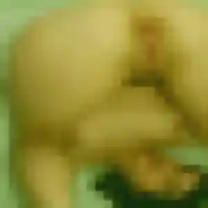 Jolie Karine, 41 ans à Saint-Michel-sur-Ternoise - la contacter