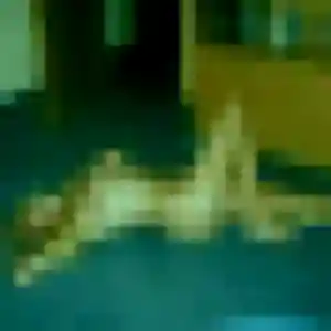 Photo sexy de Stephanie, 46 ans à Saint-Montan - rencontre coquine