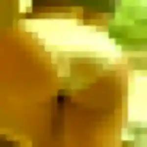 Delphine, 48 ans, cherche un rencontre cougar à Saint-Pierre-d'Aurillac
