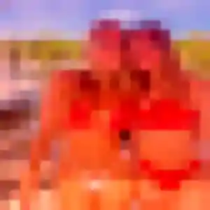 Découvre Virginie, 41 ans à Saint-Pourçain-sur-Sioule en privé