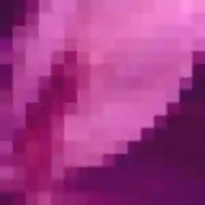 Photo sexy de Dominique, 38 ans à Saint-Prest - rencontre sans lendemain