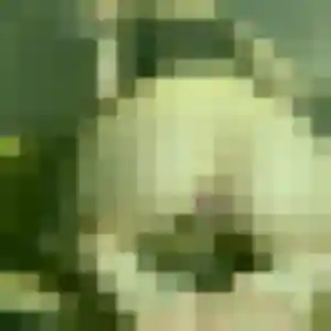 Catherine, 55 ans, connectée à Saint-Priest-Bramefant pour une rencontre coquine
