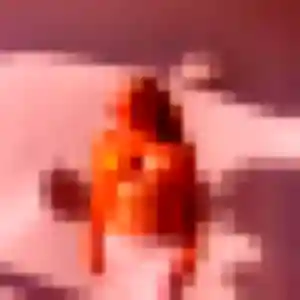 Fabienne, 53 ans, en ligne à Saint-Rémy-de-Provence pour une rencontre coquine