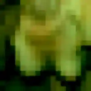 Photo exclusive de Renee, 47 ans à Saint-Rémy-de-Sillé - plan discret