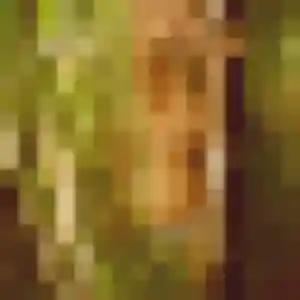 Photo privée de Carole, 44 ans à Saint-Romain-en-Gier - plan discret