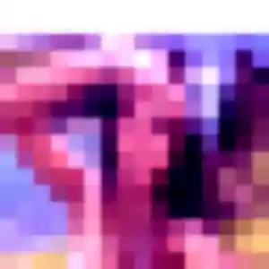 Photo perso de Sandrine, 45 ans à Saint-Saud-Lacoussière - rencontre coquine