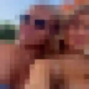 Profil de Sandrine à Saint-Sauveur (37 ans) - rencontre cougar anonyme