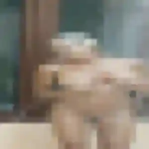 Photo perso de Marie-Helene, 45 ans à Saint-Sulpice-de-Royan - plan discret