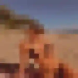 Renee, femme de 53 ans cherche rencontre cougar à Saint-Sulpice-le-Guérétois
