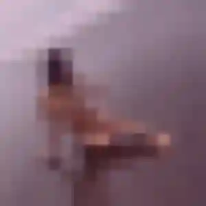 Fabienne, femme de 51 ans veut rencontre cougar à Saint-Vincent-de-Barbeyrargues