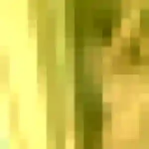 Genevieve, femme de 52 ans cherche rencontre cougar à Saint-Vincent-sur-Jard
