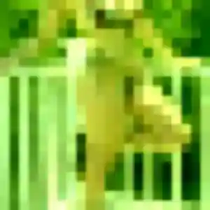 Photo exclusive de Lucette, 51 ans à Saint-Zacharie - plan discret
