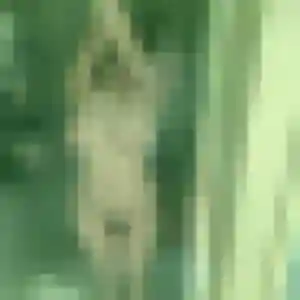 Profil de Genevieve à Sainte-Croix-du-Mont (43 ans) - rencontre cougar anonyme