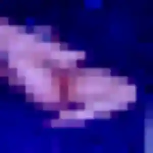 Stephanie (39 ans) à Sainte-Foy-de-Peyrolières propose un rencontre cougar rapidement