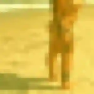 Viviane, 54 ans, disponible à Sainte-Hélène pour une rencontre coquine