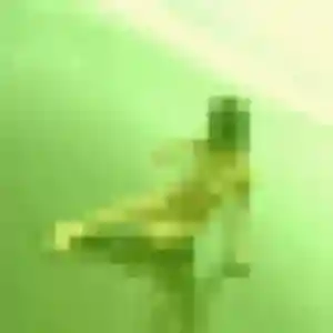 Fabienne (54 ans) à Sainte-Menehould cherche un rencontre cougar ce soir